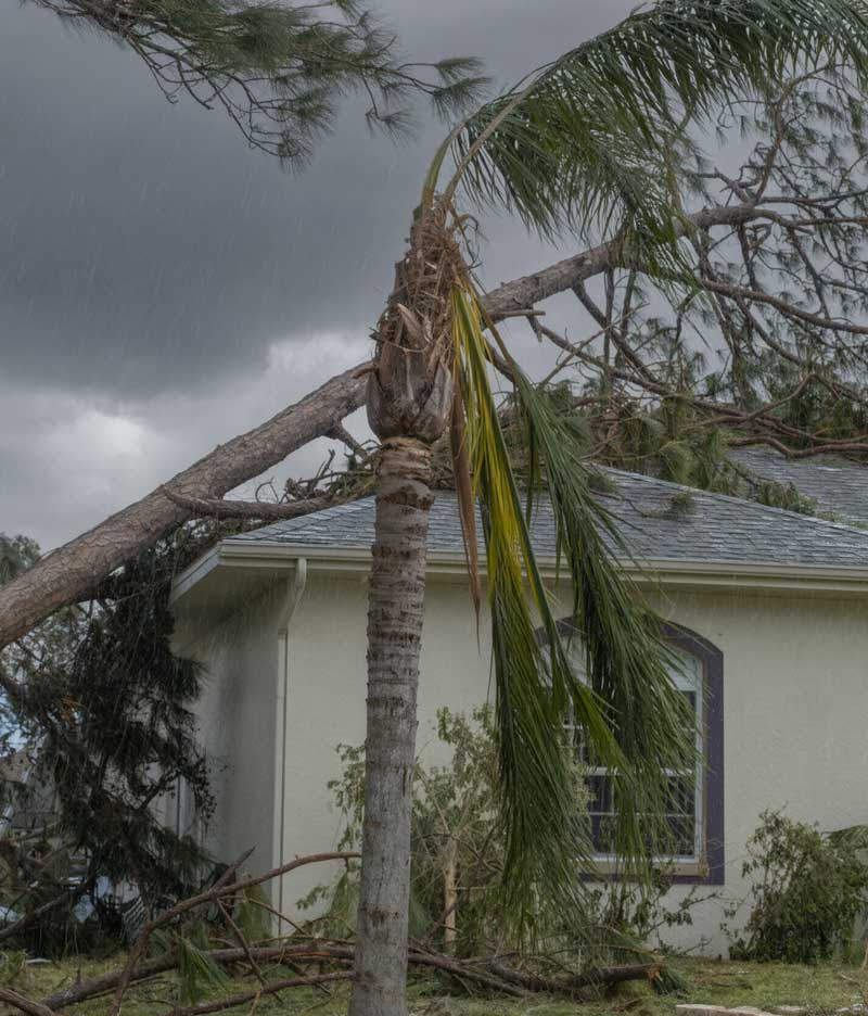 Representative residential roof after a Bay Area rainstorm